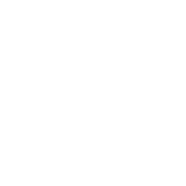 Execution Layer for Any System